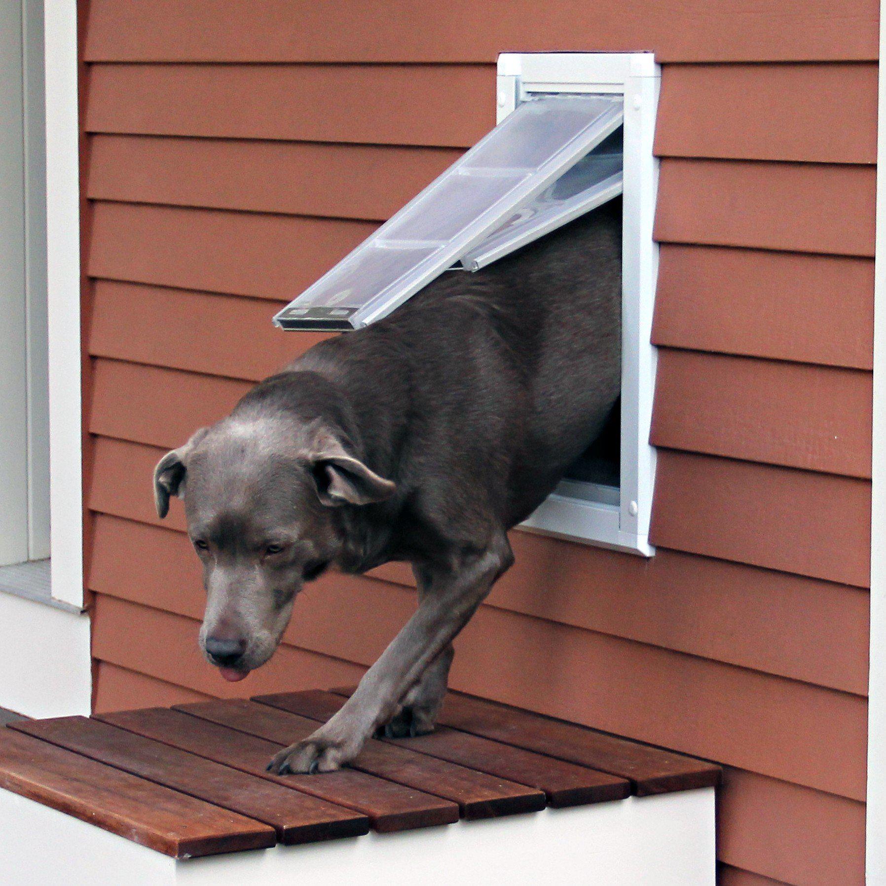 Pet Doors at Pet Pro Supply Co.