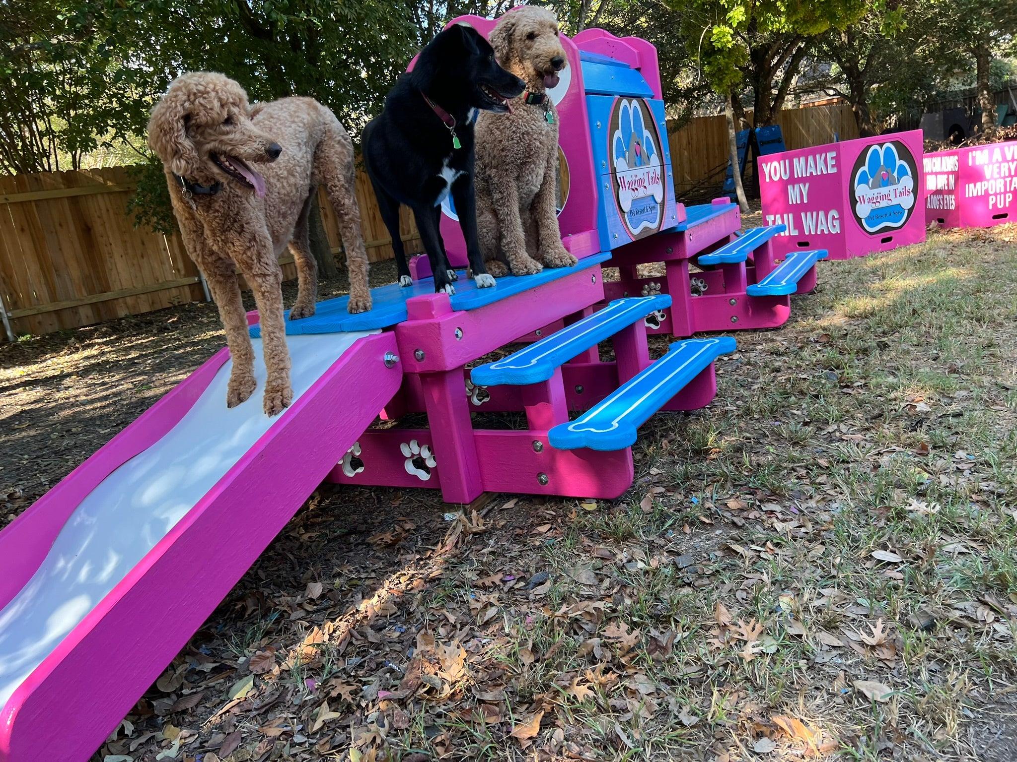 Puppy Scapes Double Platform with Tunnel with your logo