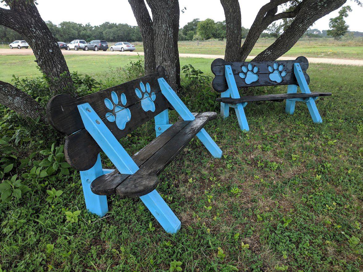 Puppy Scapes Bench