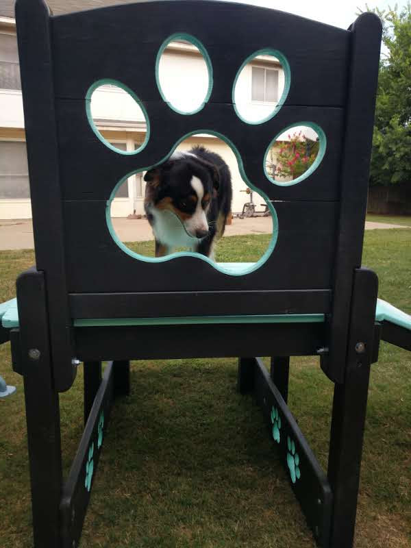 Puppy Scapes Double Ramp w/ Paw Print