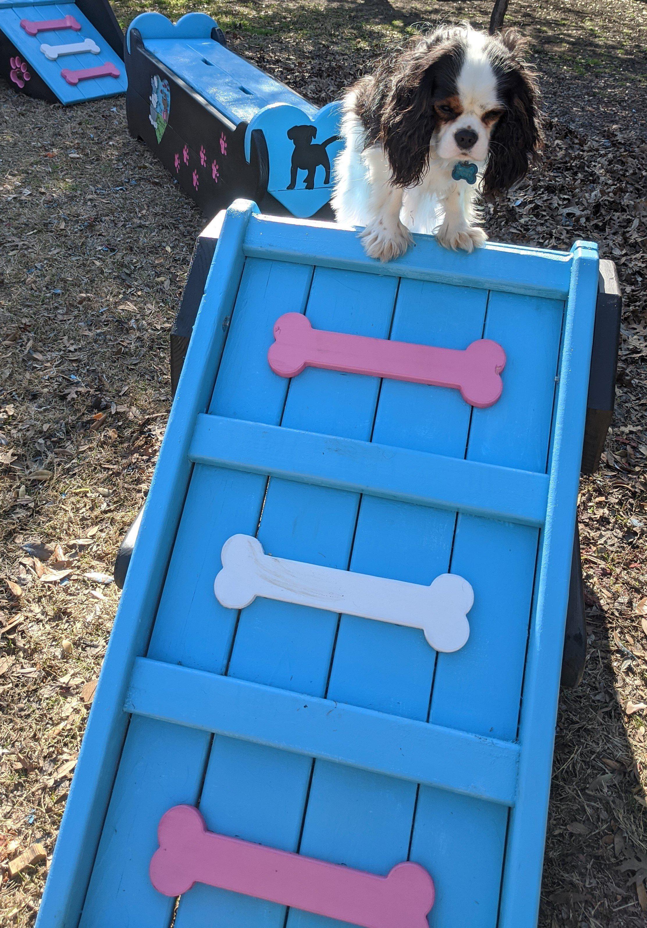 Puppy Scapes Micro A-Frame