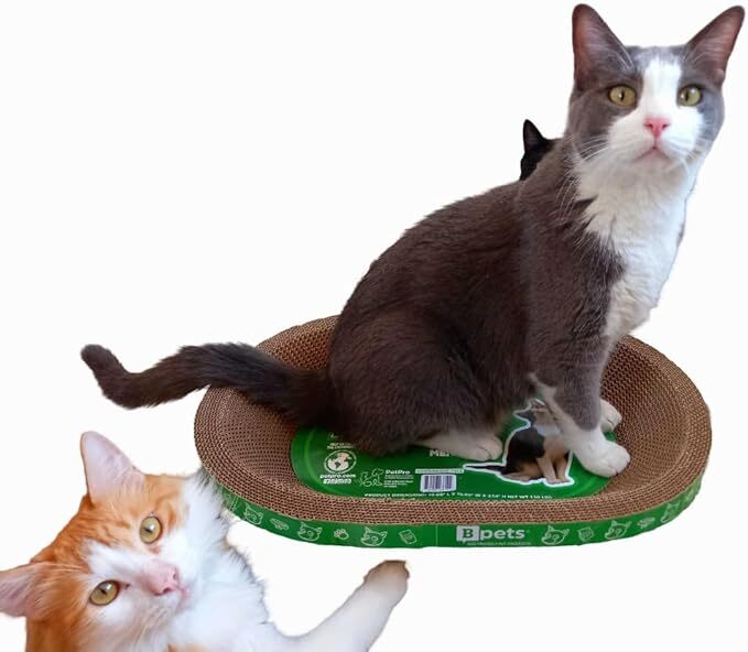 B Scratcher - Kitty Funny Oval Scratcher