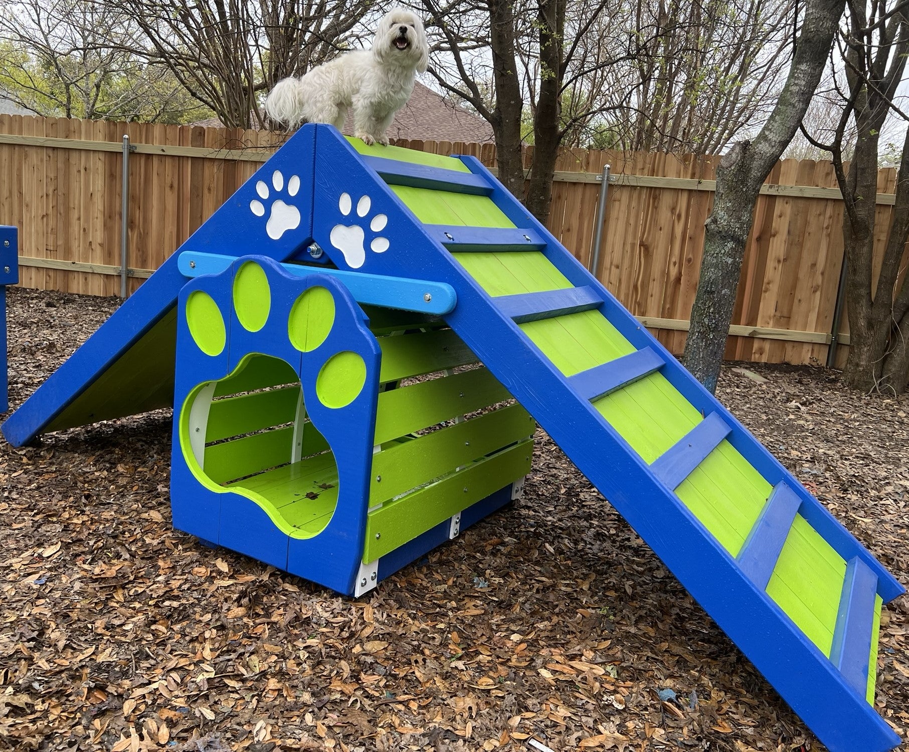 Puppy Scapes A-Frame with Tunnel