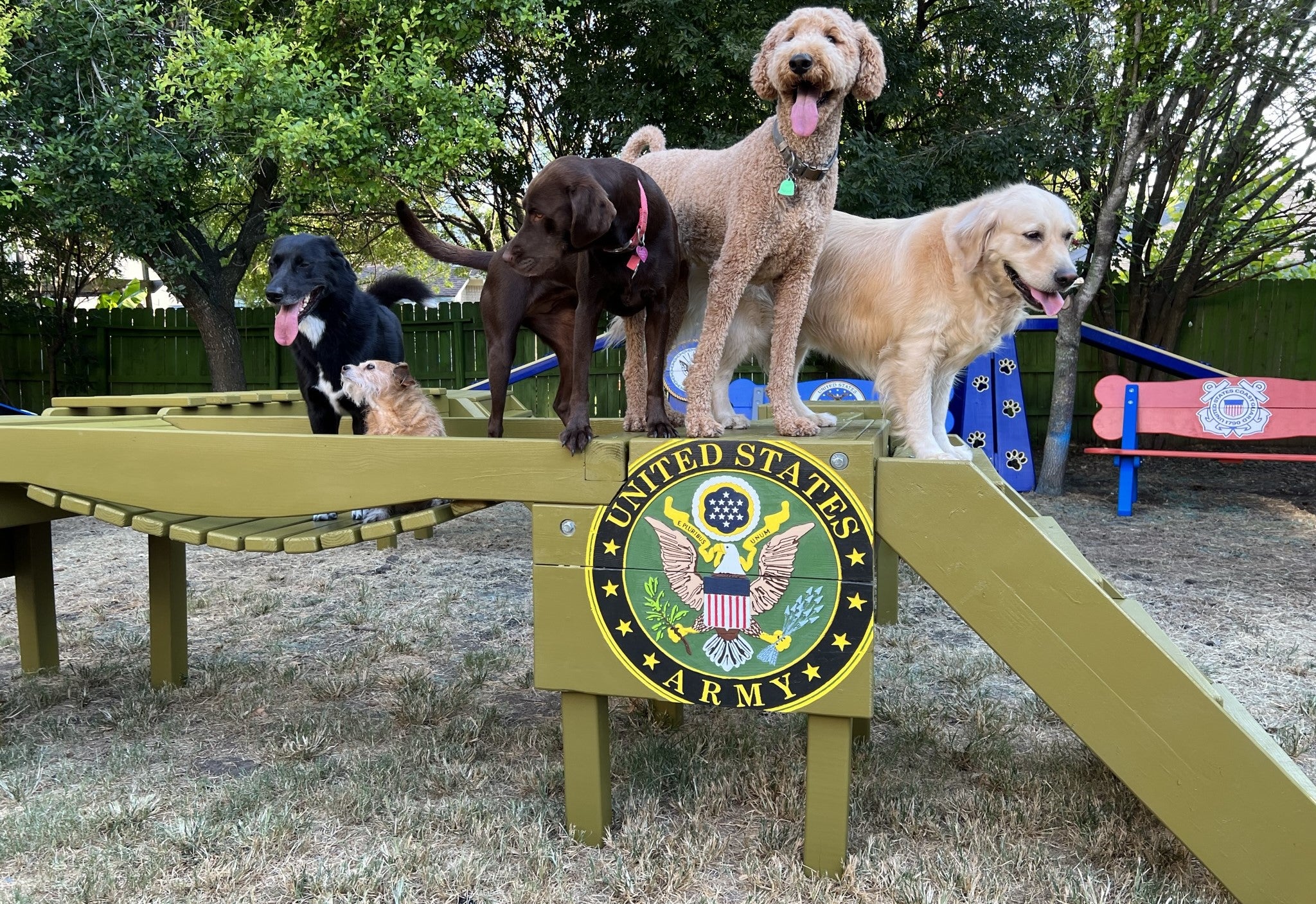 Puppy Scapes Agility Confidence course w/ Your Logo