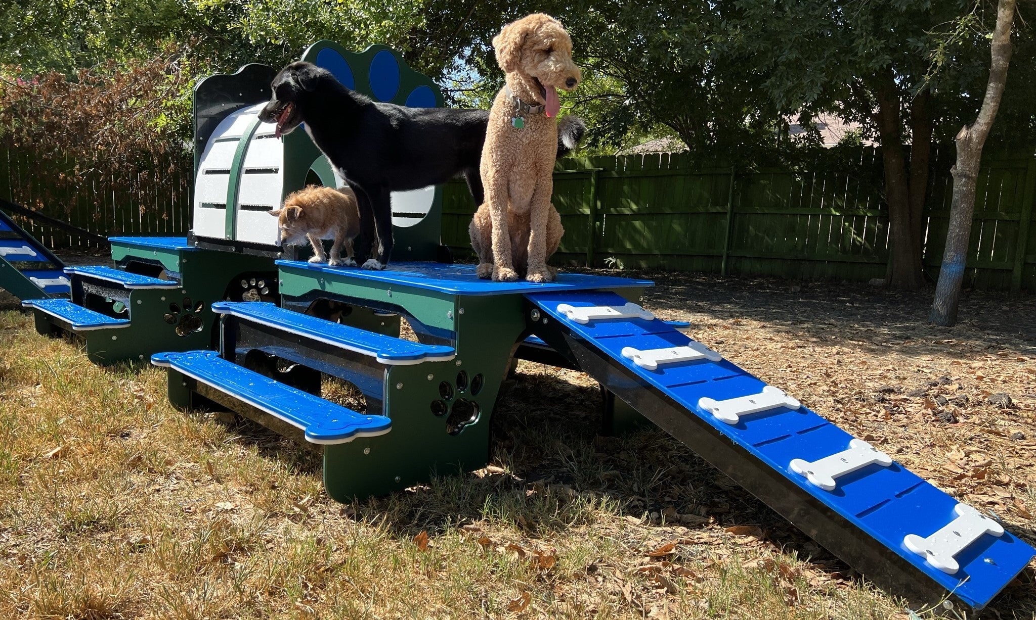 Puppy Scapes Double Platform (LOWER) with Tunnel in HDPE