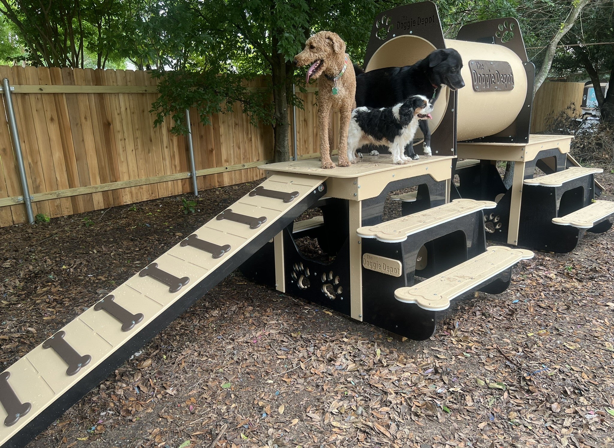 Puppy Scapes Double Platform (elevated) with Tunnel in HDPE