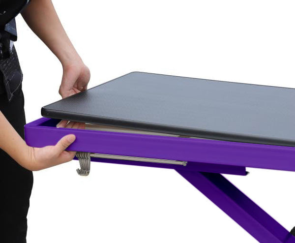 Aeolus Pro Electric Lift Grooming Table