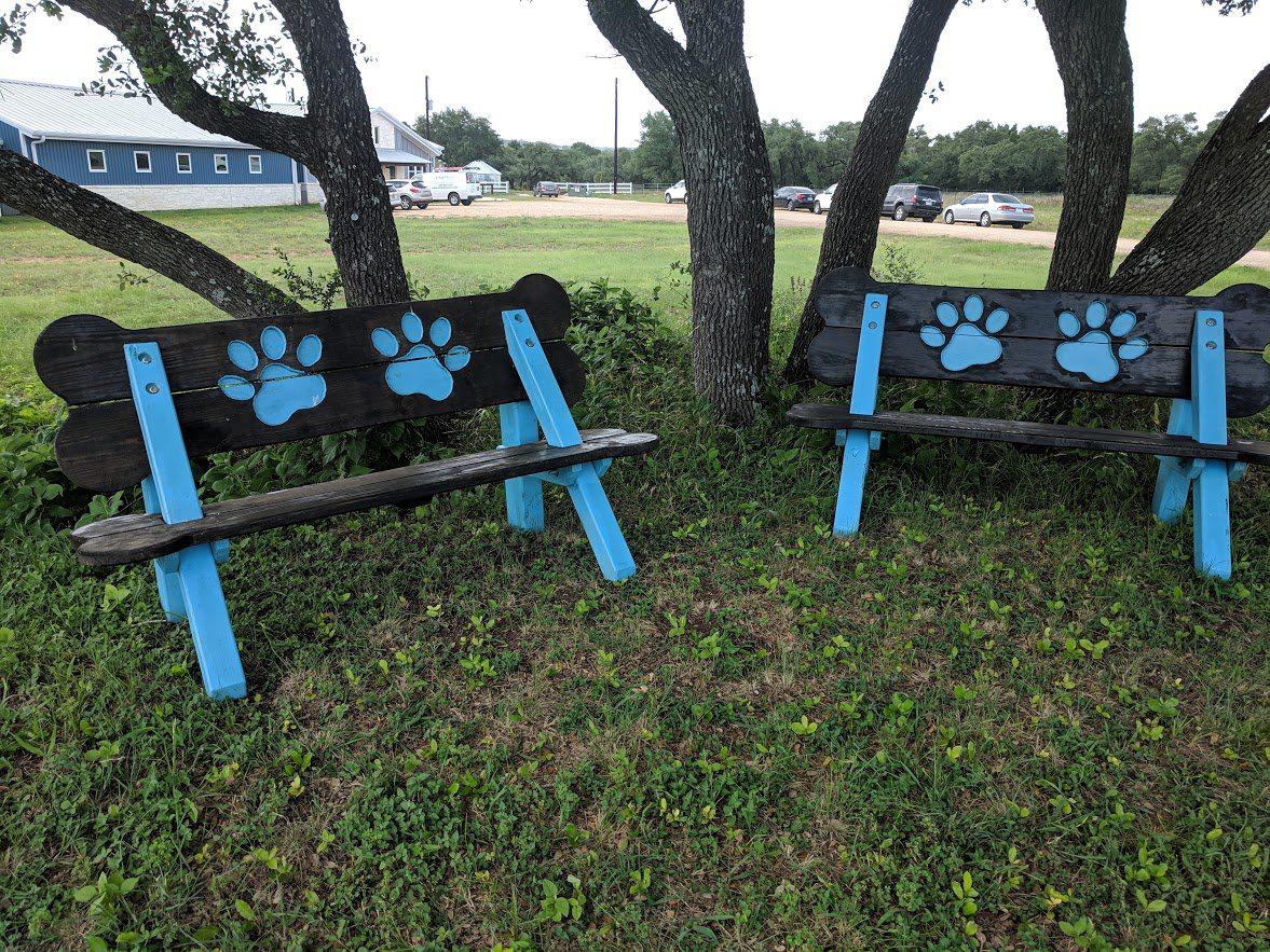 Puppy Scapes Bench