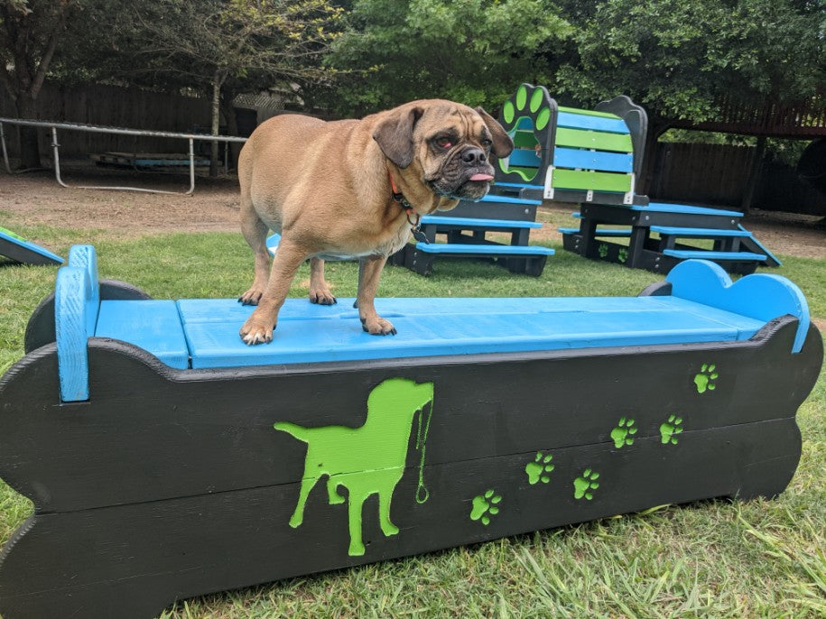 Puppy Scapes Seat / Toy Storage Container