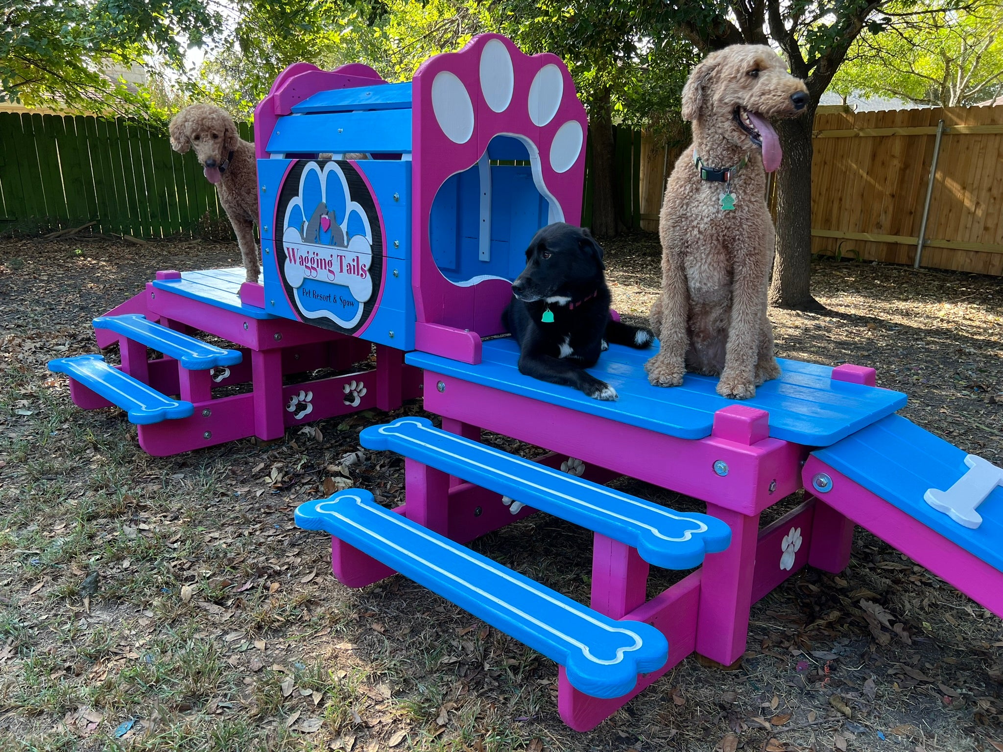 Puppy Scapes Double Platform with Tunnel with your logo