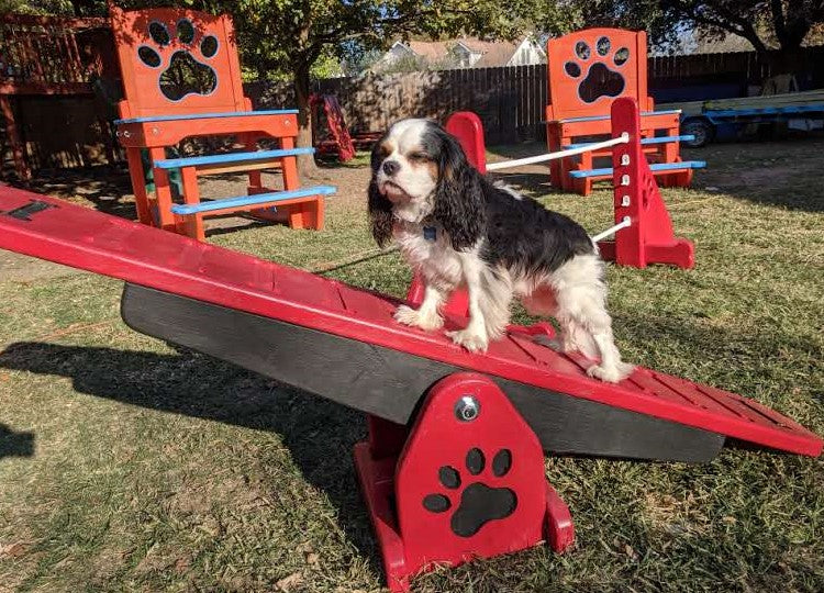 Puppy Scapes Mini See-saw (teeter totter)