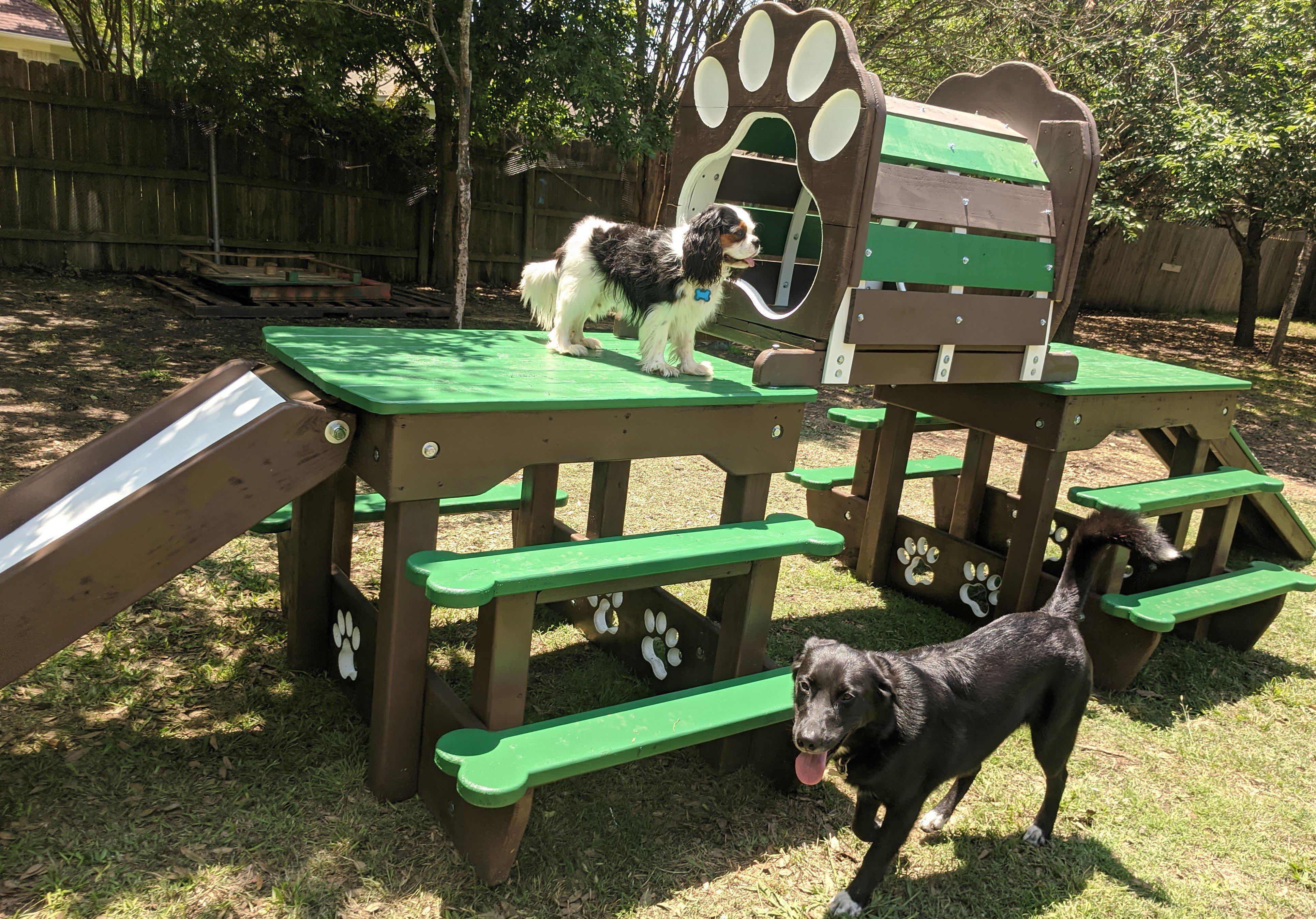 Puppy Scapes Double Platform (elevated) with Tunnel