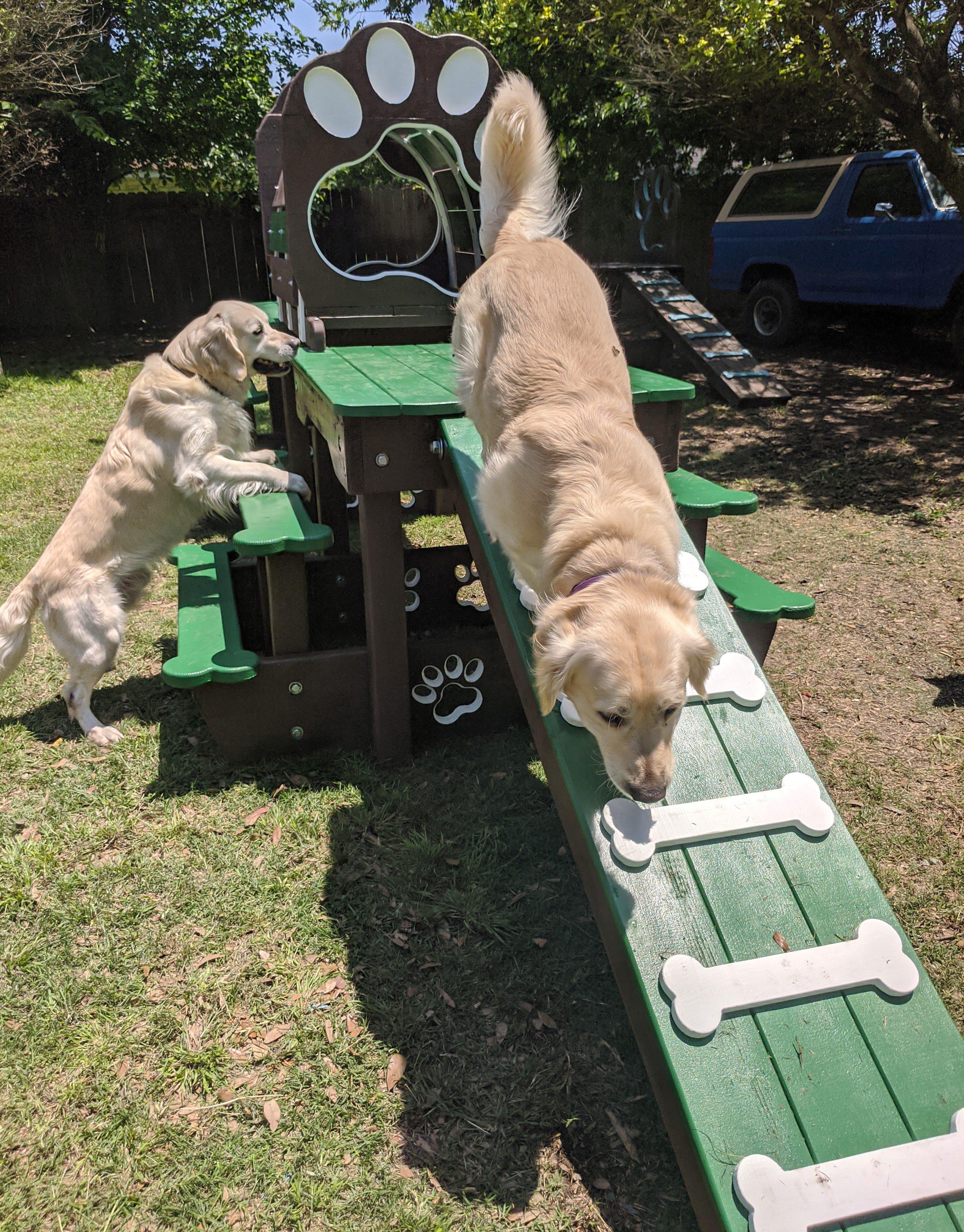 Puppy Scapes Double Platform (elevated) with Tunnel