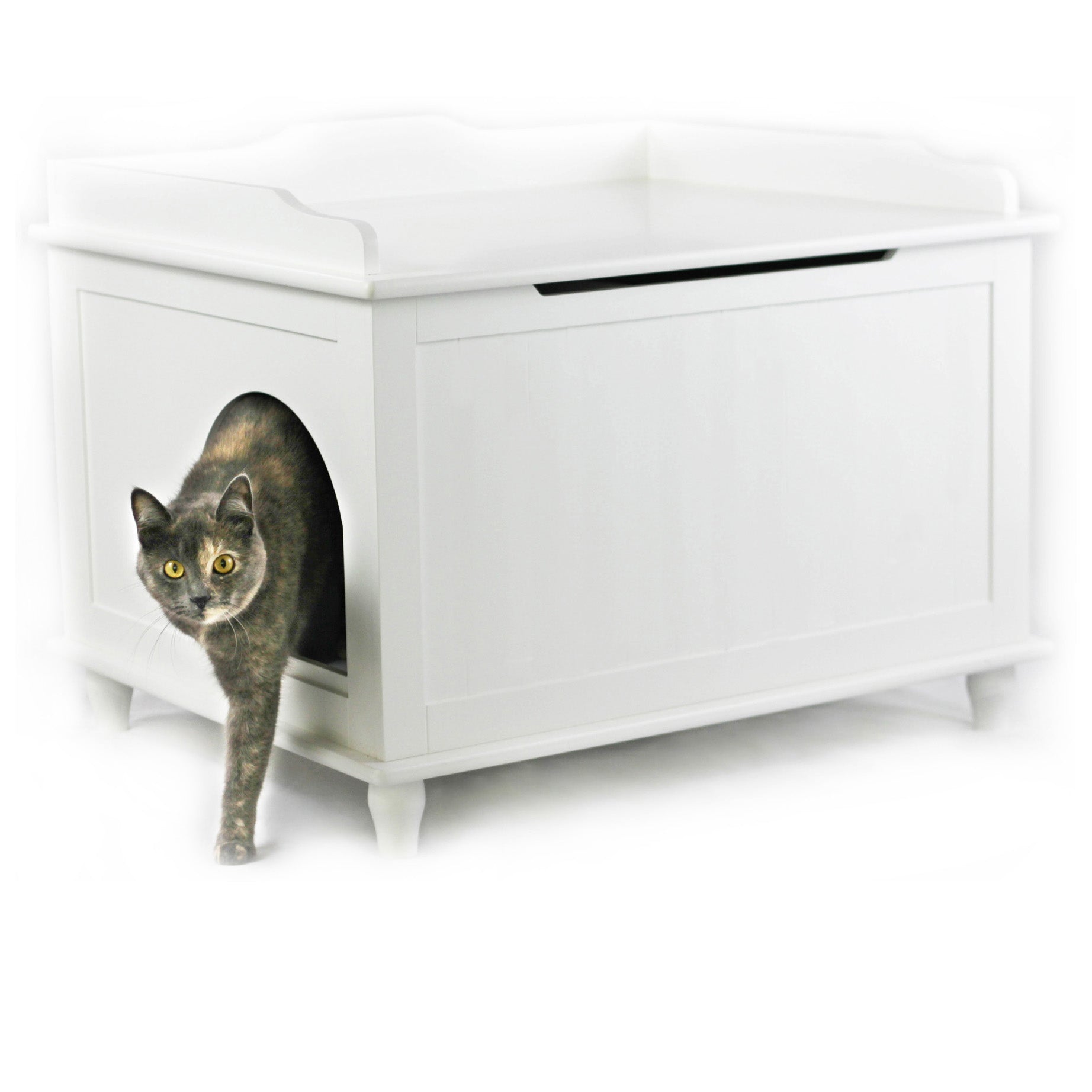 Designer Pet Products Jumbo Catbox Litter Box Enclosure in White