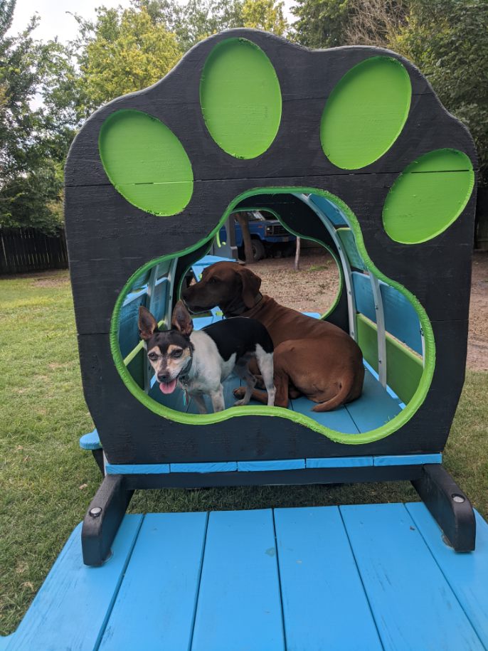 Puppy Scapes Double Platform with Tunnel