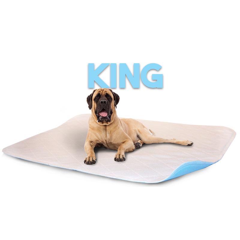 LennyPads - Ultra Absorbent Washable LennyPad