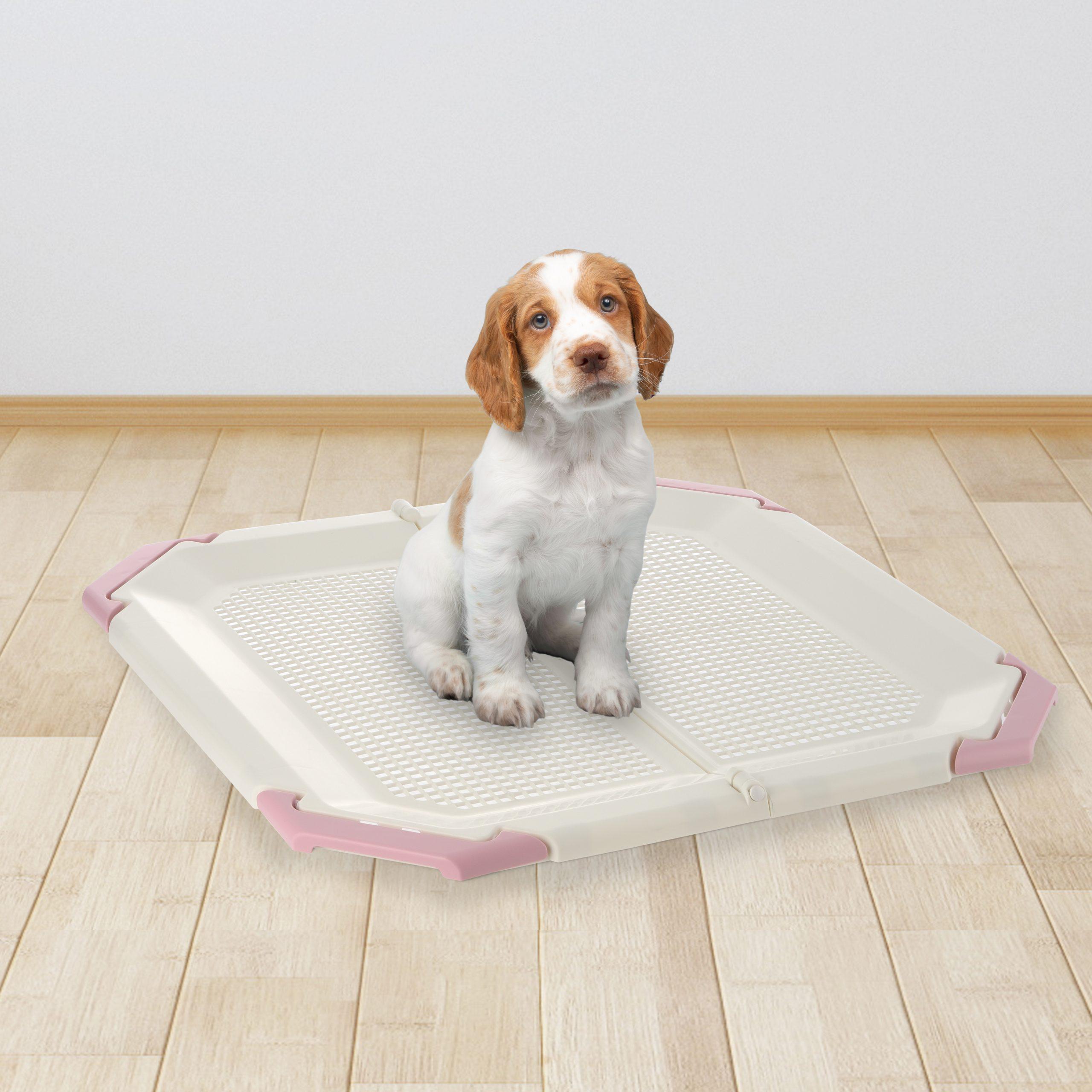 Richell PAW TRAX® Potty Pad Holder