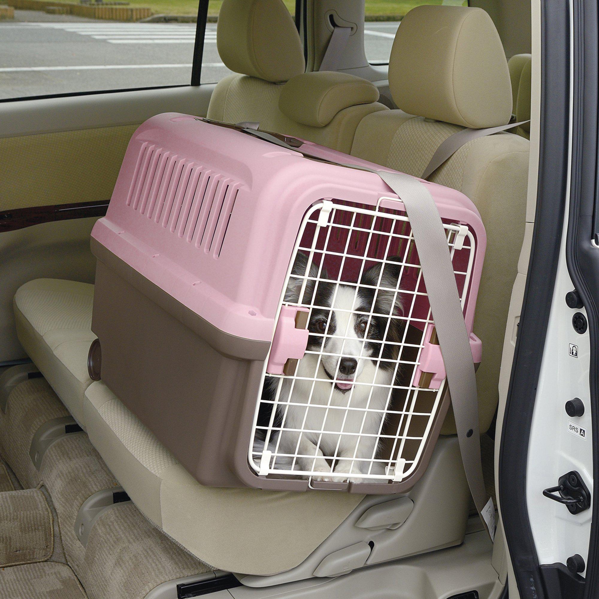 Richell E-Z Mobile Pet Carrier