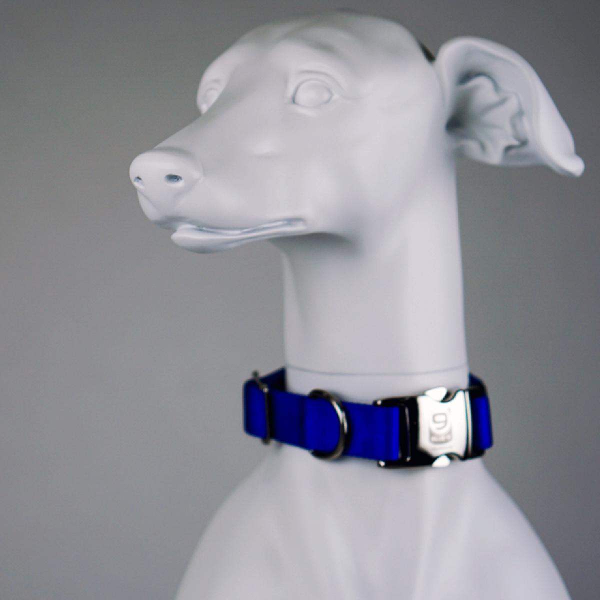 Blue-9 Secure Pro Dog Collar