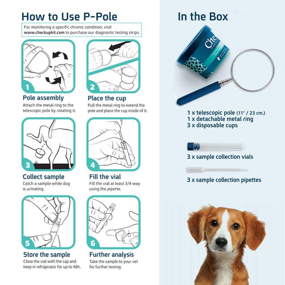 Coastline Global P-Pole Dog Urine Sample Collection Kit