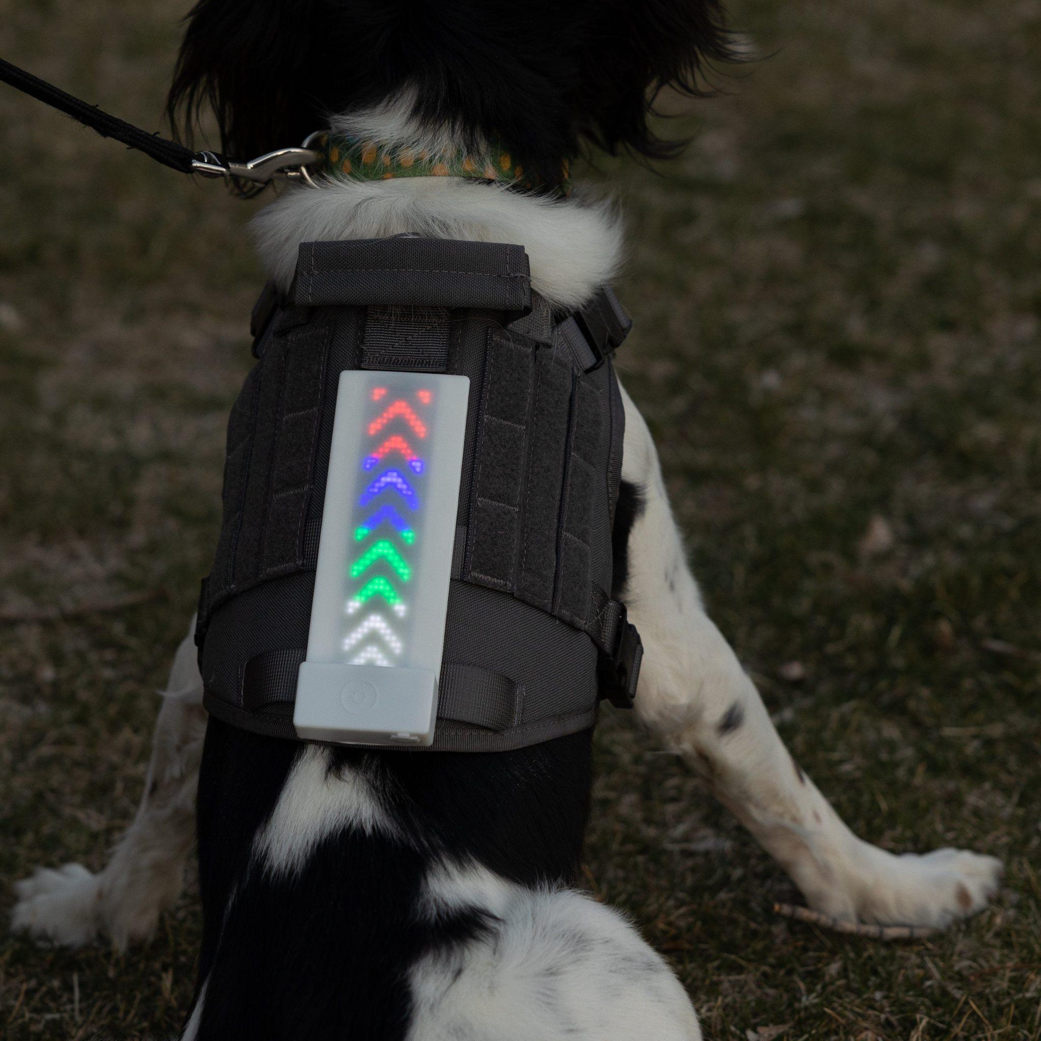 K9 SPORT SACK® Glo Banner XL - Electric Display