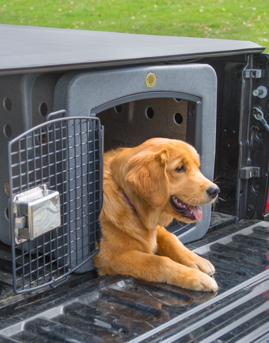 Dakota 283 T1 Low Profile Kennel