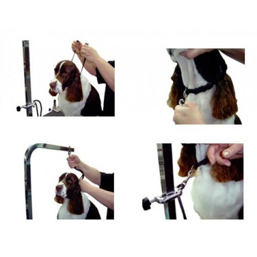 Groomers Helper 5/8ʺ Professional Loops