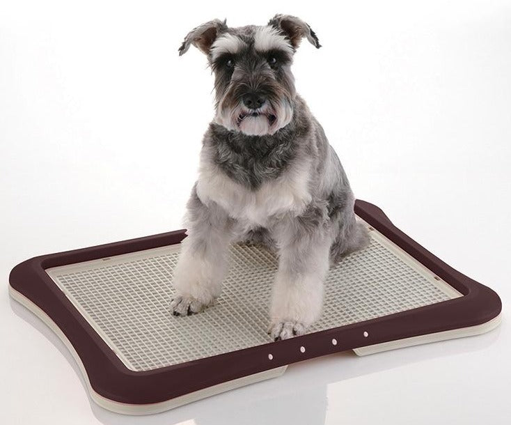 Richell PAW TRAX Mesh Training Tray