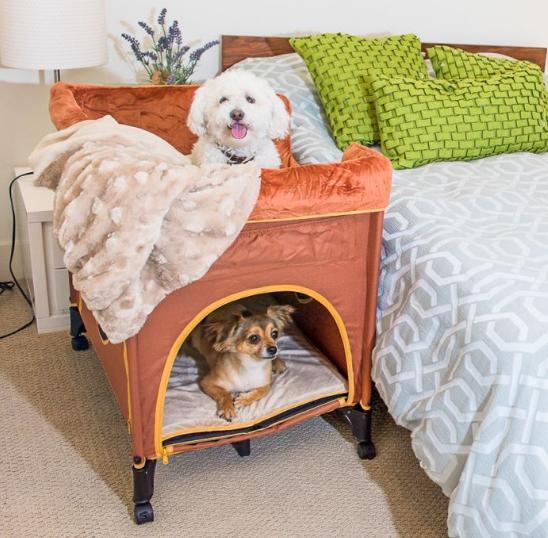 Petique Bedside Lounge Pet Bed