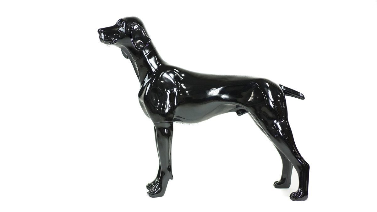 Blue-9 Dog Mannequin, German Pointer - William