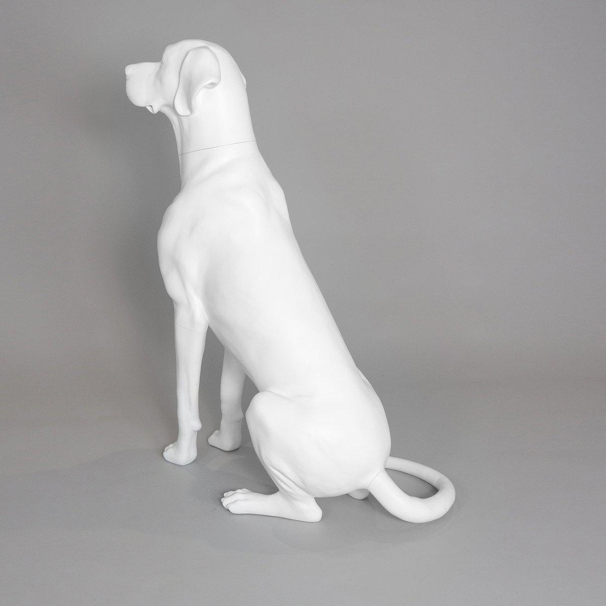 Blue-9 Dog Mannequin, Great Dane - Edmund