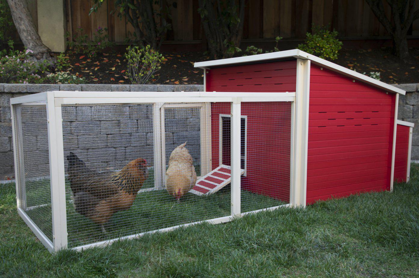 New Age Pet Jumbo Fontana Chicken Barn