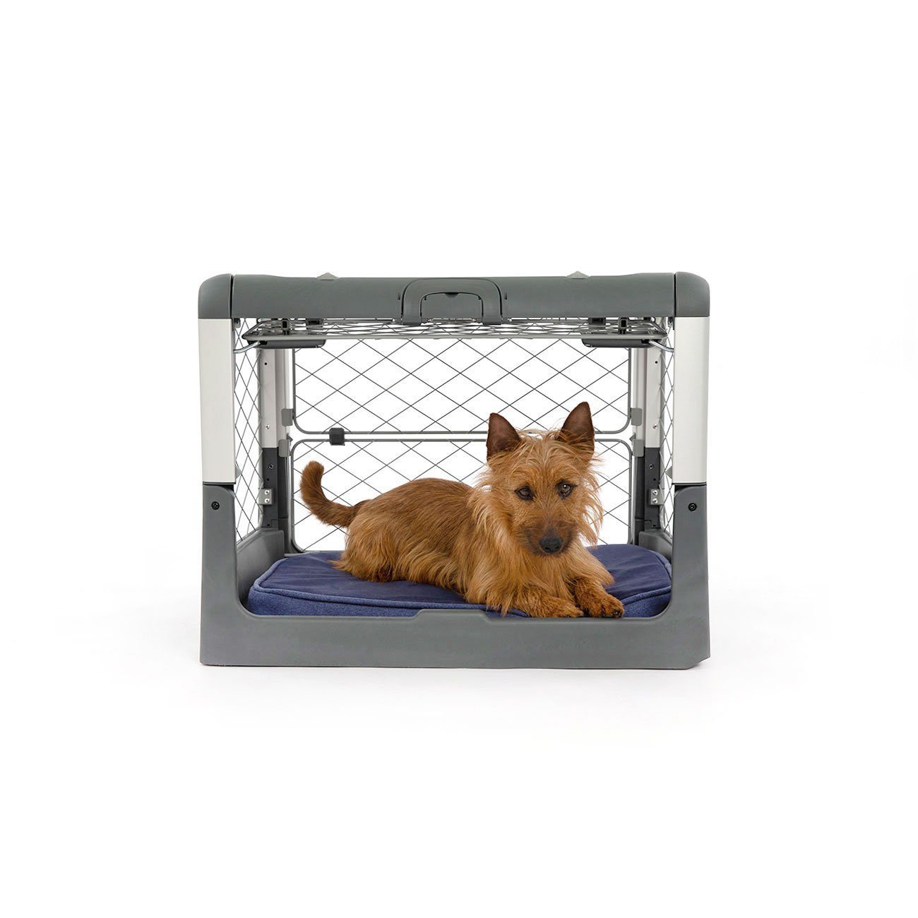 Diggs Revol Collapsible Dog Crate-Pet Crates-Pet's Choice Supply