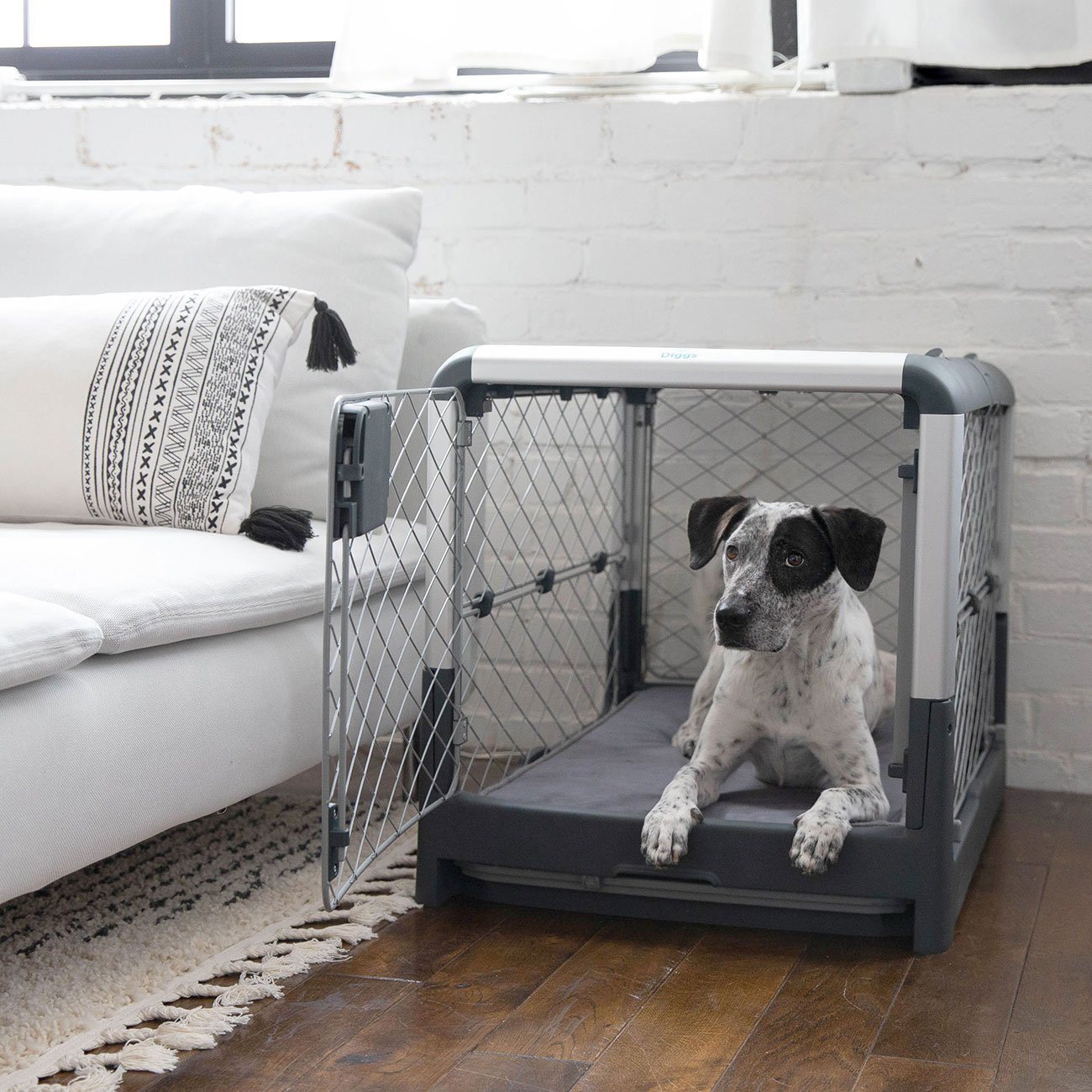 Diggs Revol Collapsible Dog Crate-Pet Crates-Pet's Choice Supply