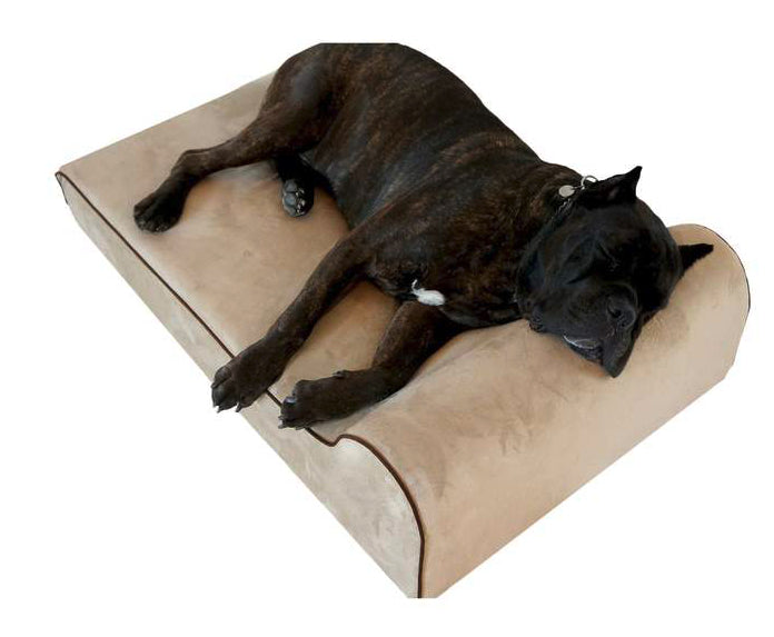 Bully Bed Orthopedic, Washable & Waterproof Big Dog Beds