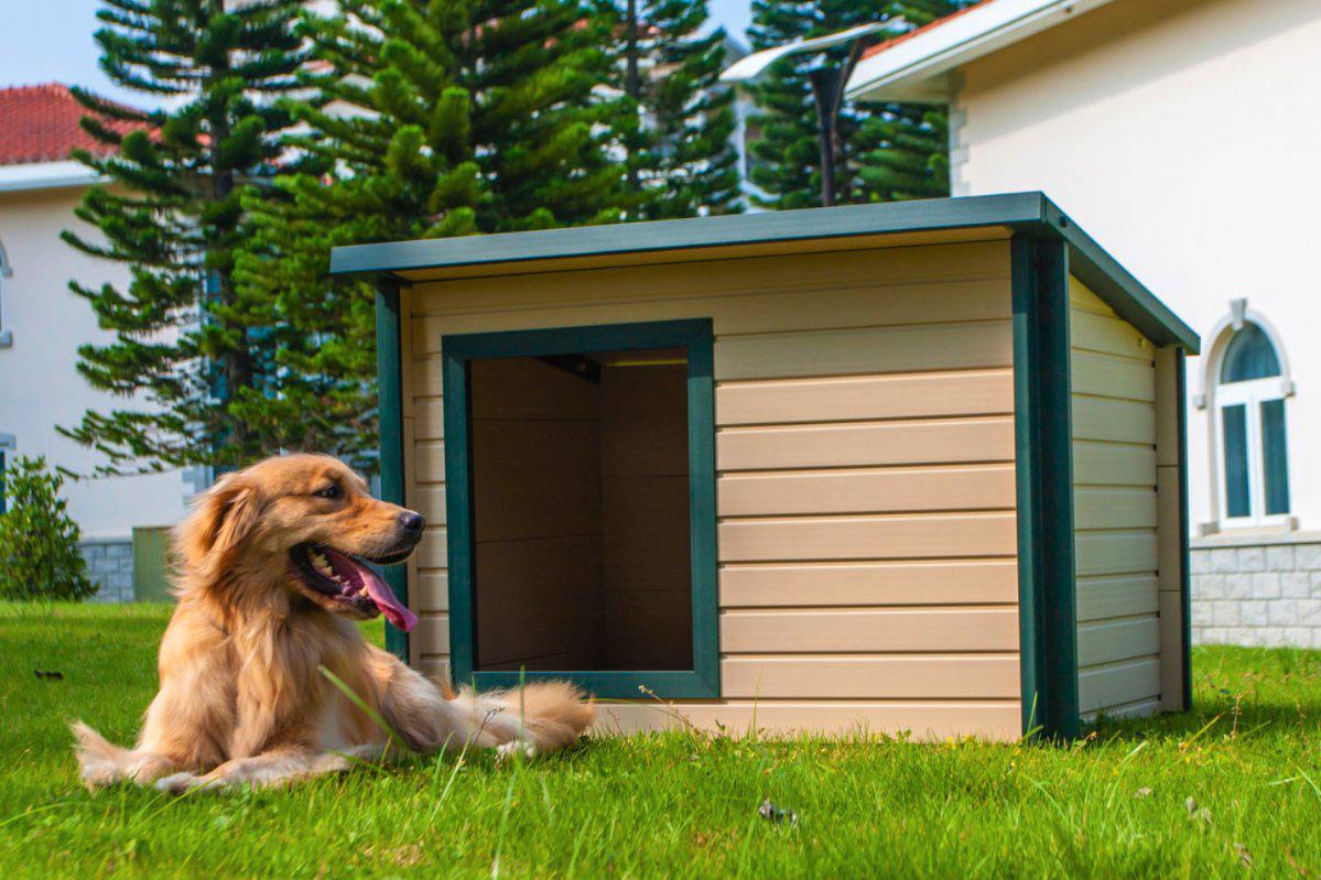 New Age Pet Rustic Lodge Dog House