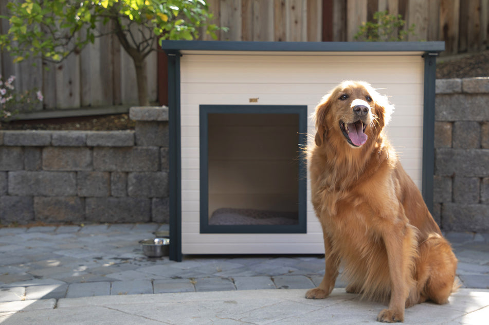 New Age Pet Rustic Lodge Dog House