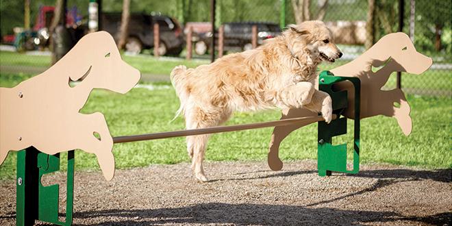 BarkPark by Ultrasite Intermediate Dog Park Kit