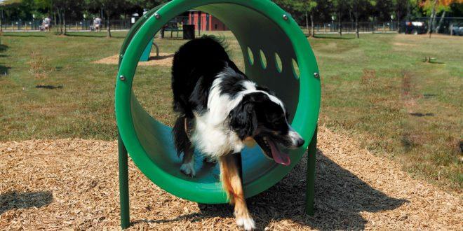 BarkPark by Ultrasite Intermediate Dog Park Kit