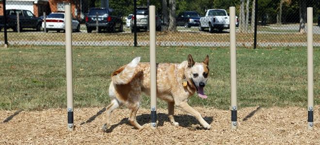 BarkPark by Ultrasite Recycled Small Dog Park Kit