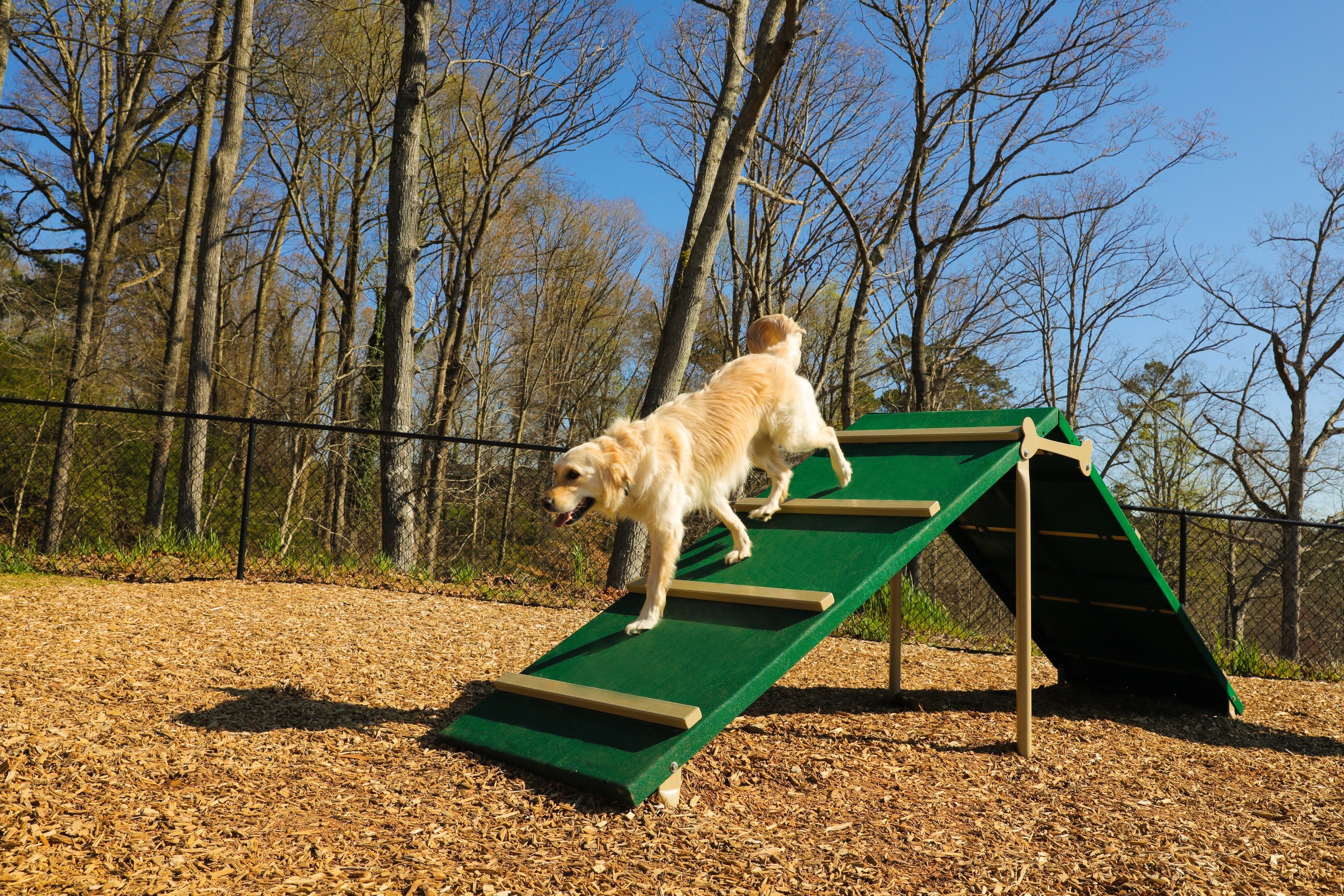 BarkPark by Ultrasite Small & Large Dog Park Combination Course