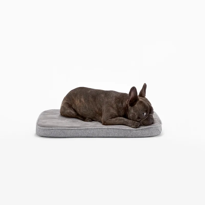 Diggs Snooz Dog Crate Bed