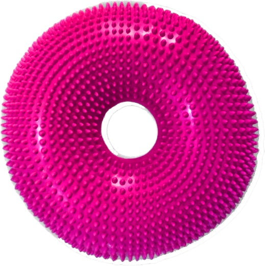 FitPAWS Flexiness Donut Disc