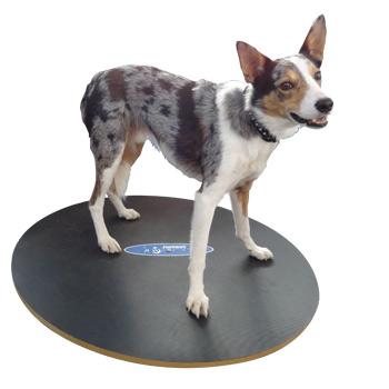 FitPAWS Wobble Board