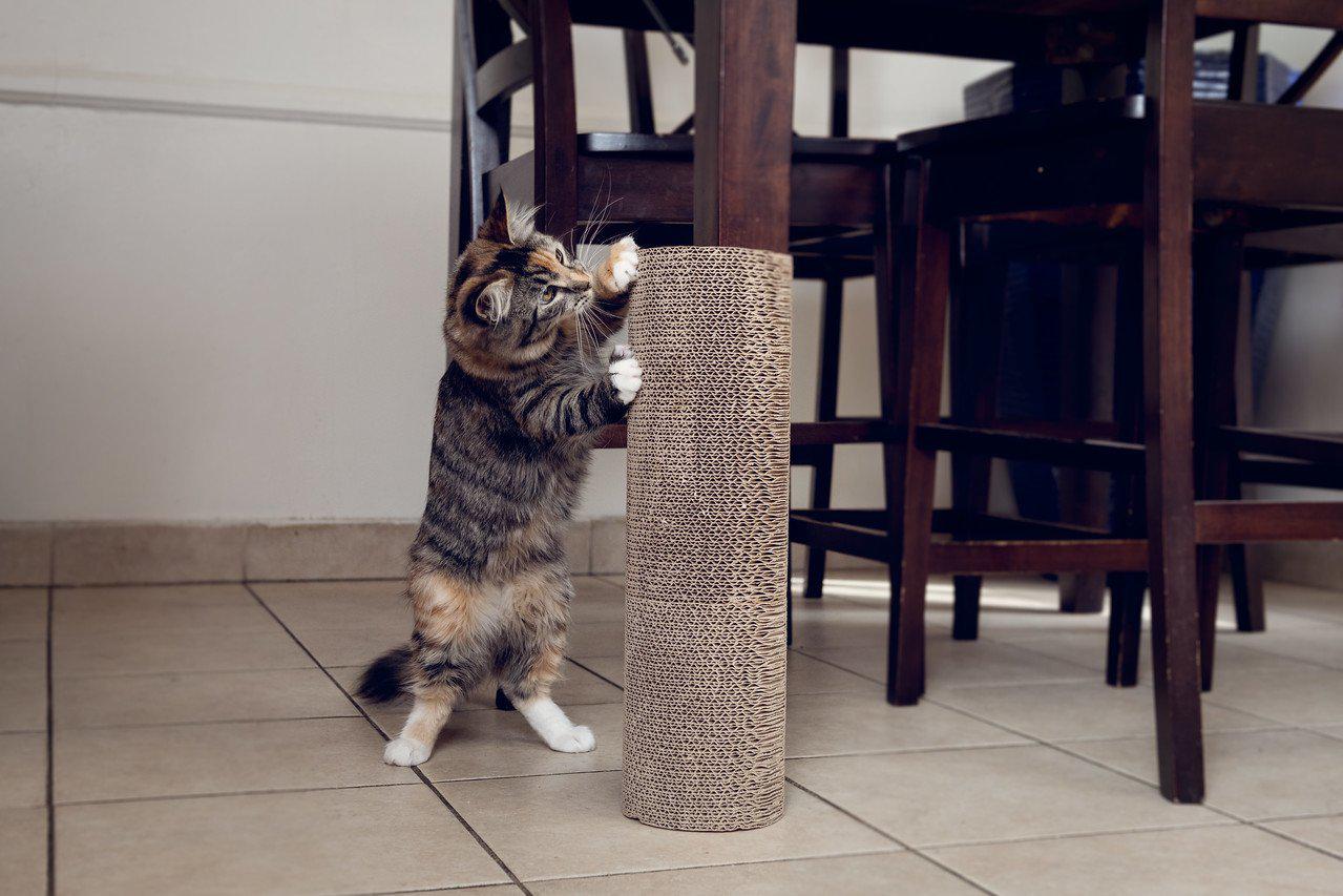 Petique Kitty Corner Cat Scratching Post (2 pieces)