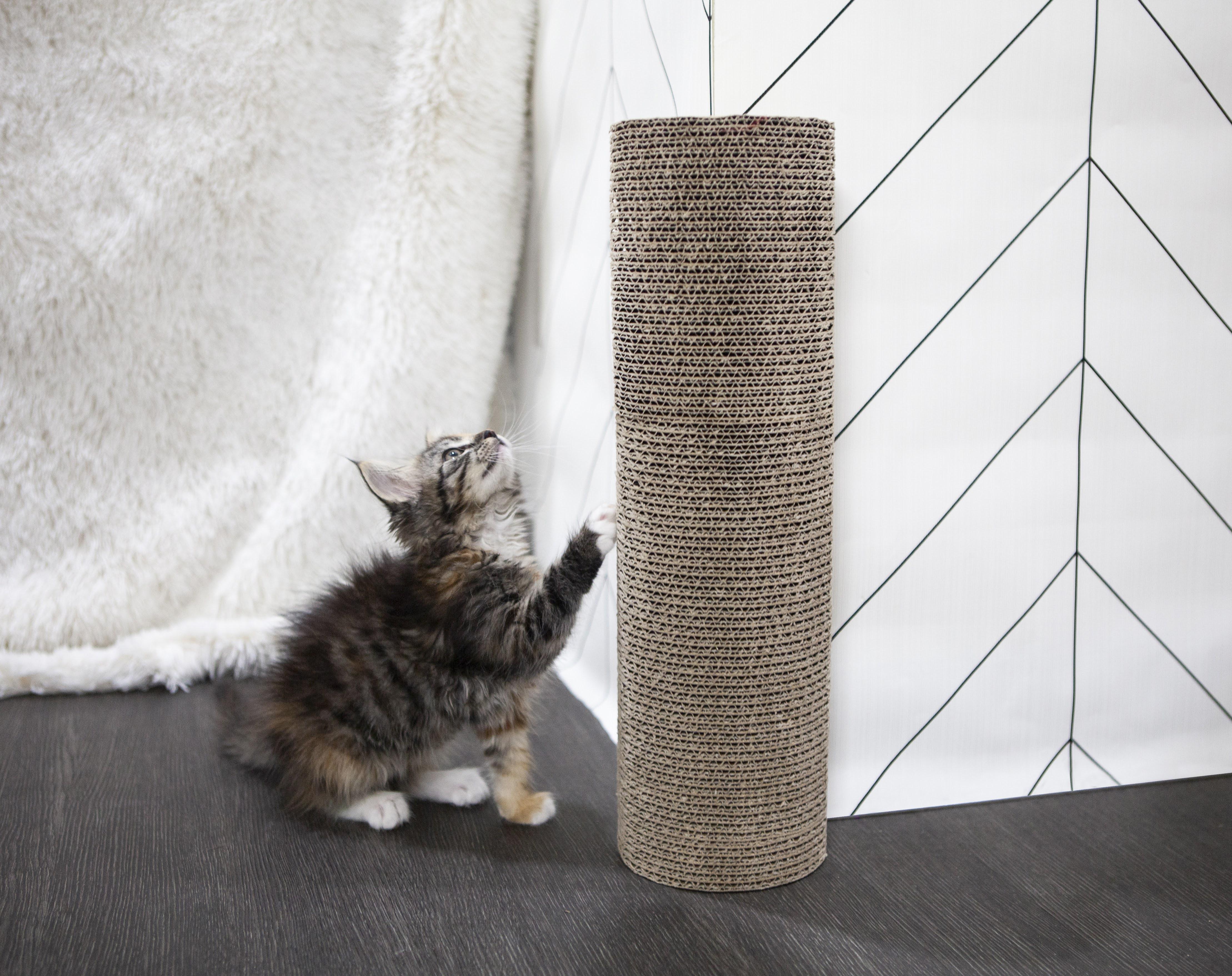 Petique Kitty Corner Cat Scratching Post (2 pieces)