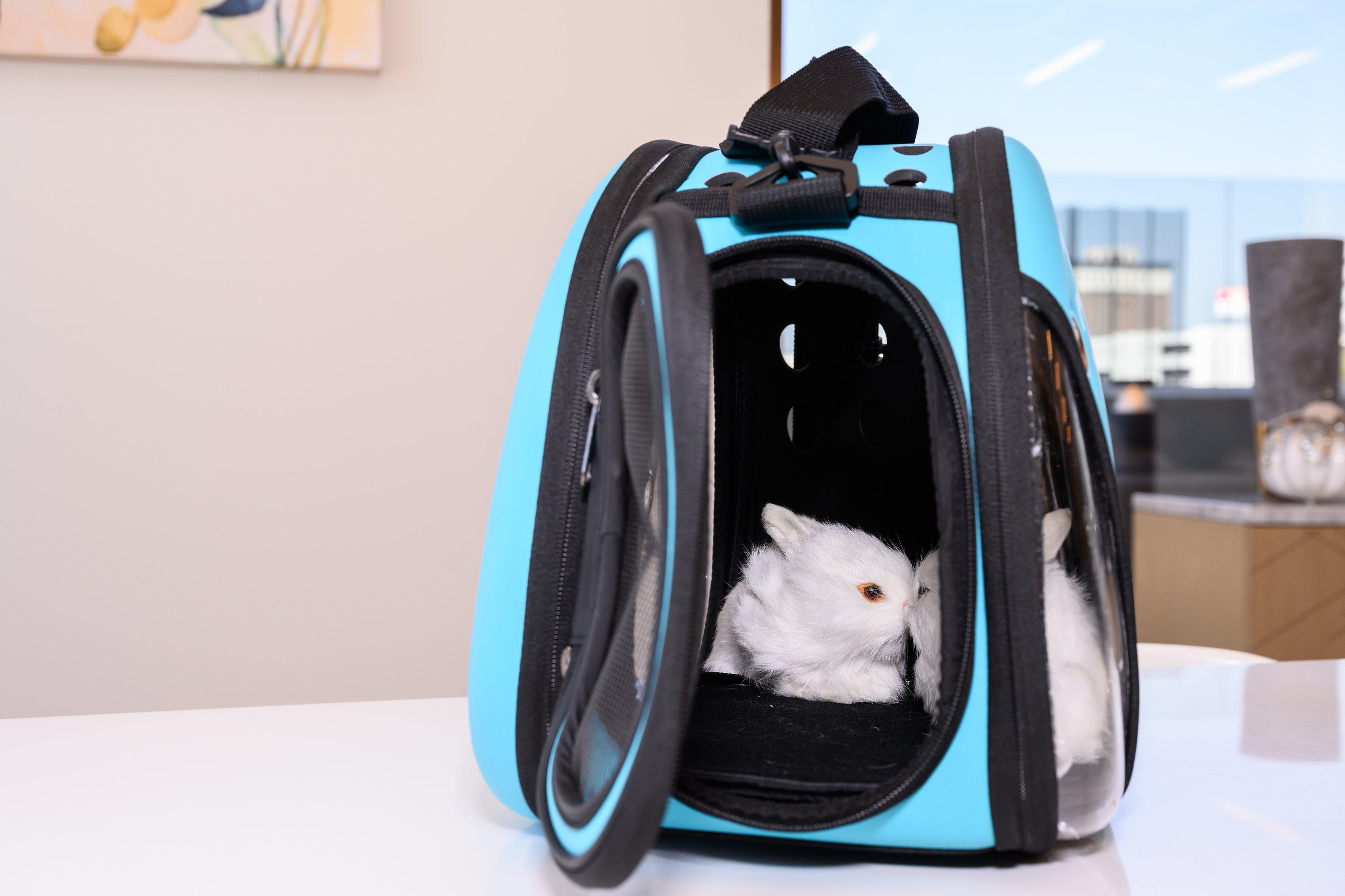 Pet and Pets Macaron Pet Carrier