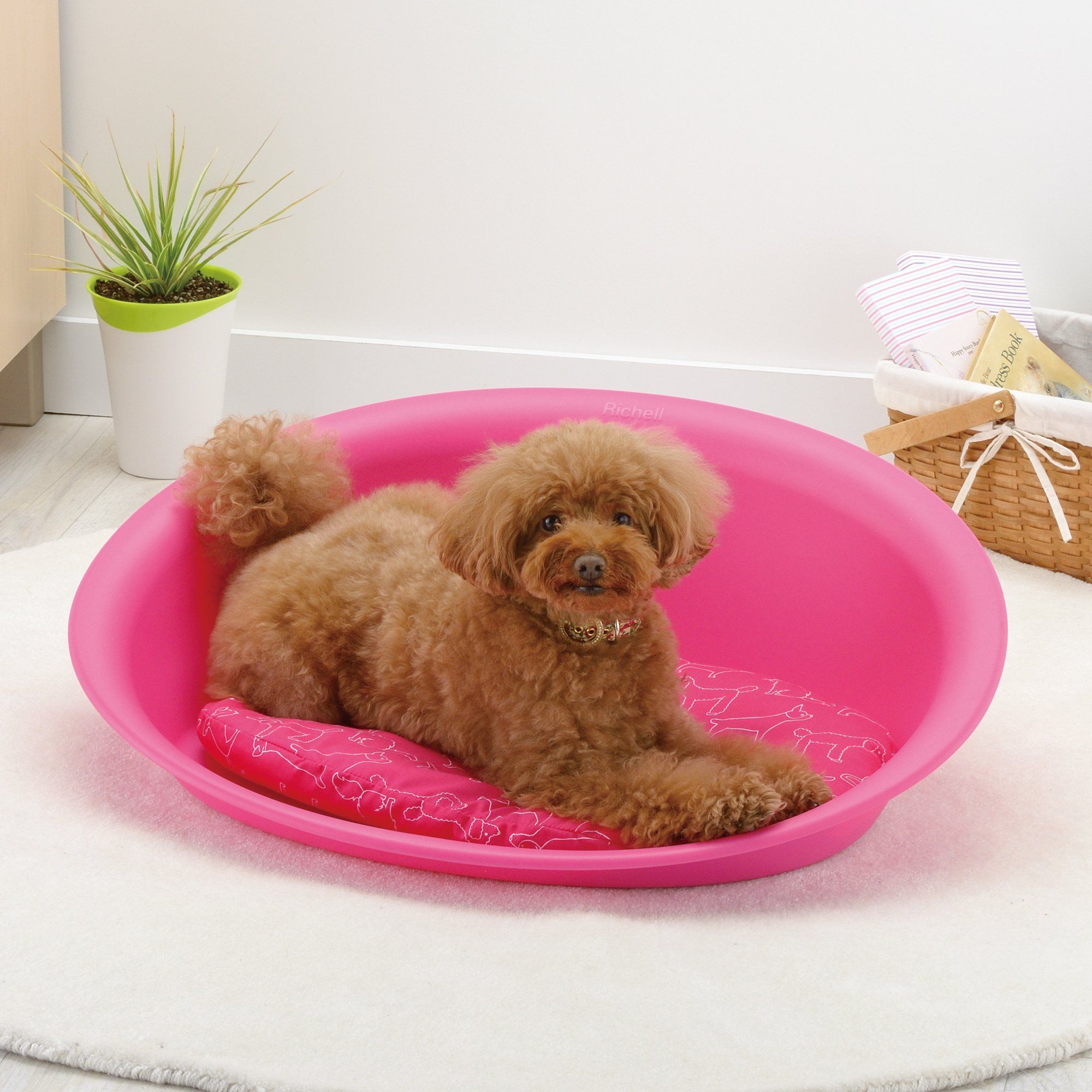 Richell Oval Plastic Pet Bed