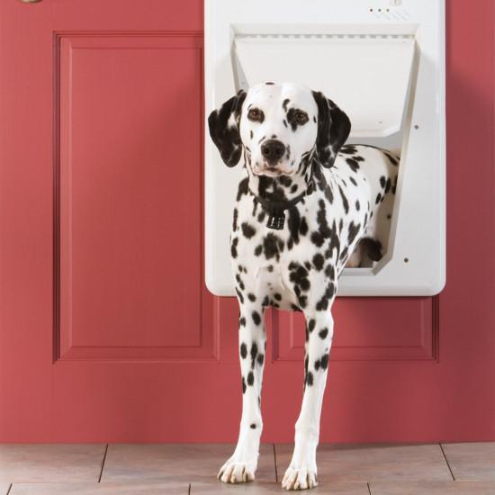 PetSafe Electronic SmartDoor