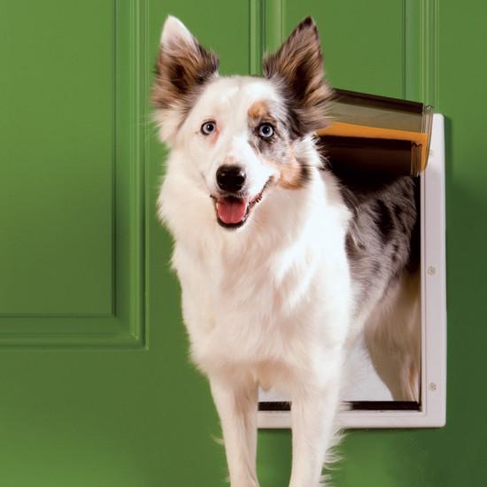 PetSafe Extreme Weather Pet Door